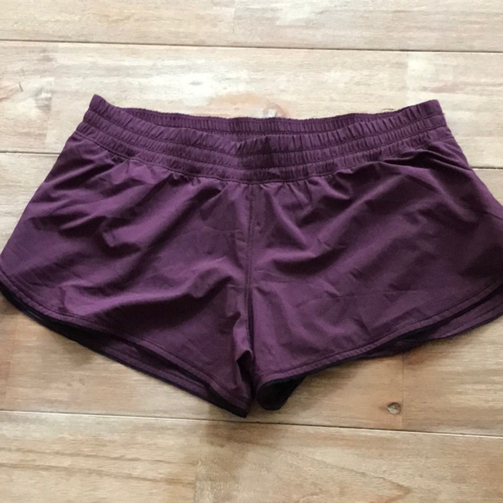 Mauve hotty hot shorts 2.5 with black trim